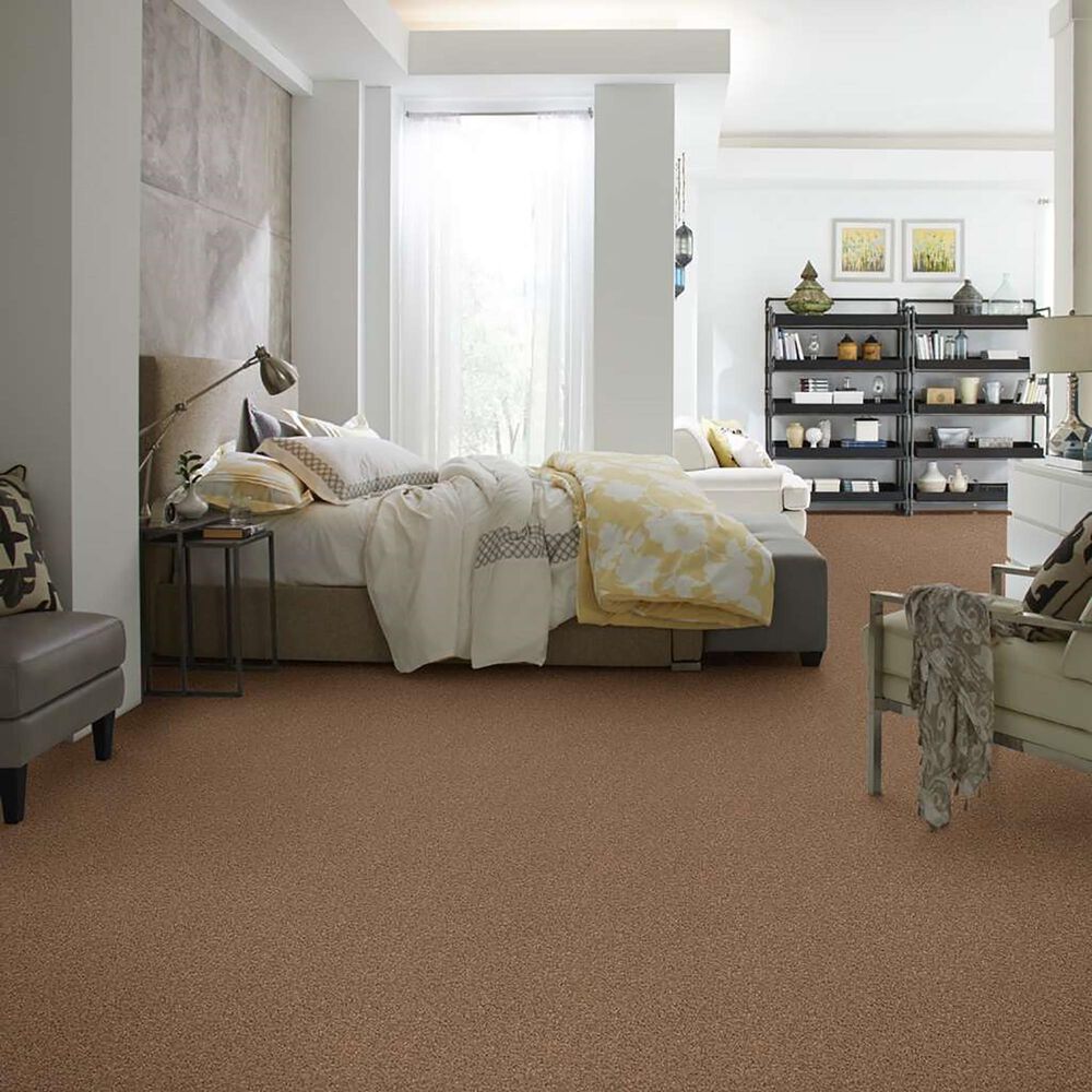 Philadelphia Simply Yours Remember Me Carpet in Pecan Praline, , large