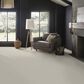 Anderson Tuftex Finery Carpet in Mussel, , large
