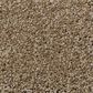 Shaw Detailed Elegance I Carpet in Saffron, , large