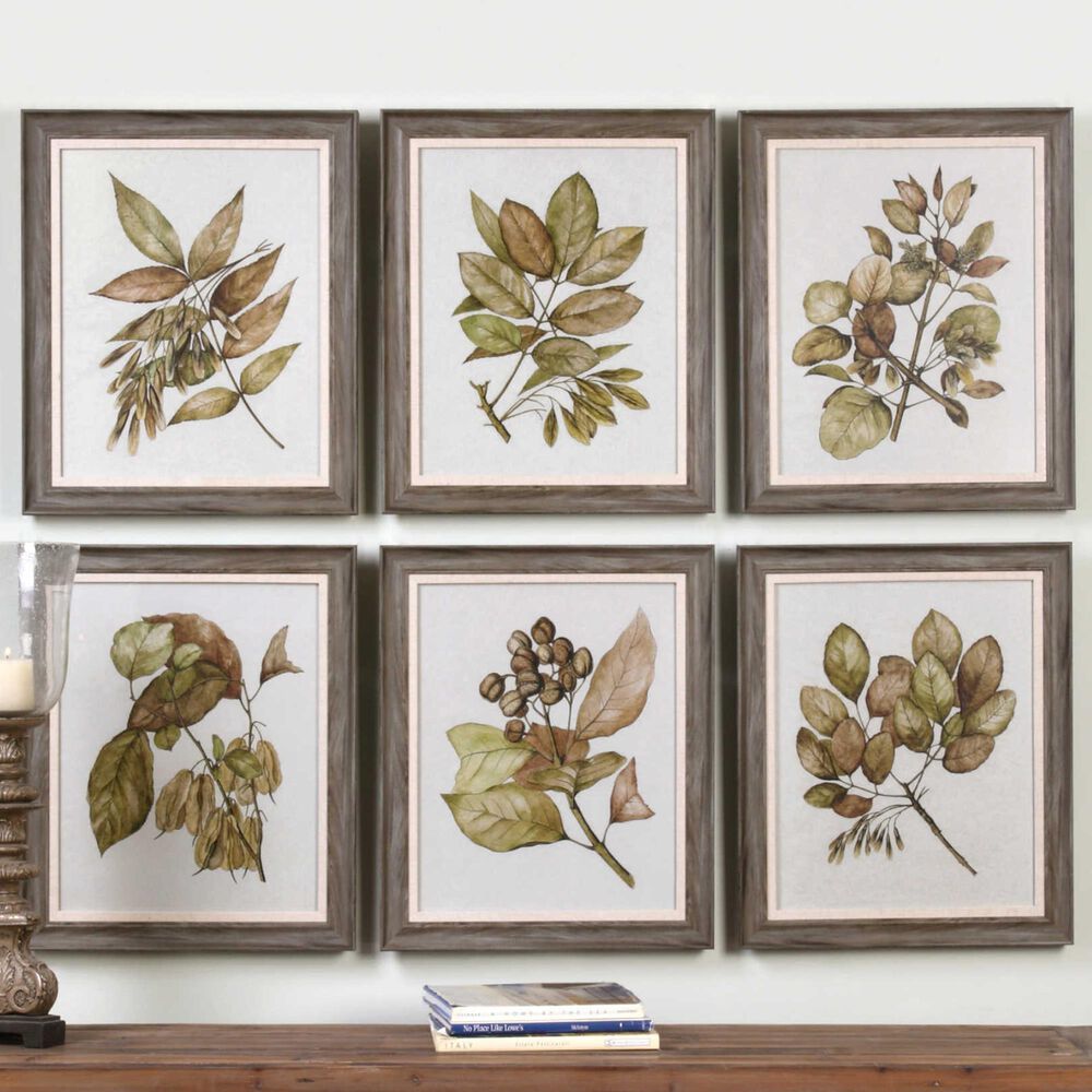 Uttermost Seedlings Framed Prints (Set of 6), , large