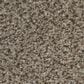 Shaw Trusplendor Carpet in Truffle, , large