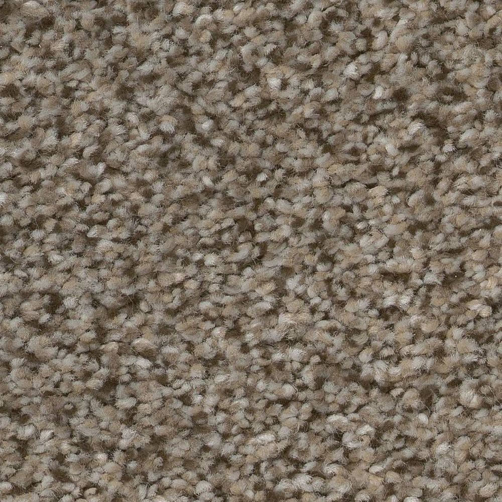 Shaw Trusplendor Carpet in Truffle, , large