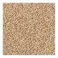 Dixie Home Lavato Carpet in Mesa, , large