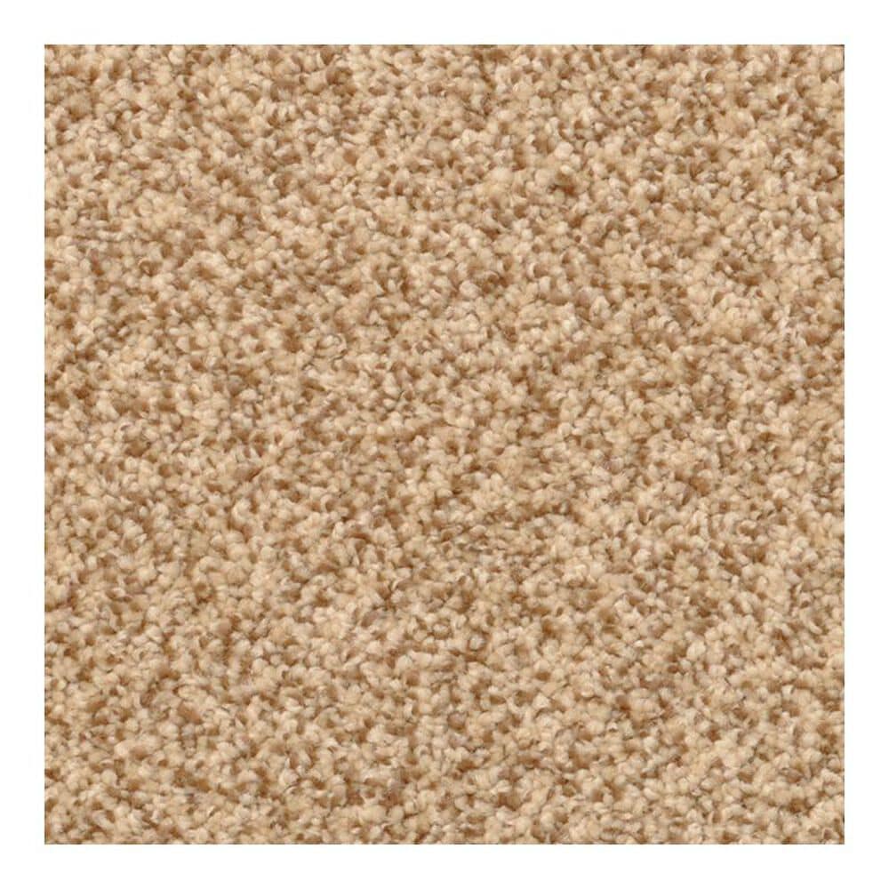 Dixie Home Lavato Carpet in Mesa, , large