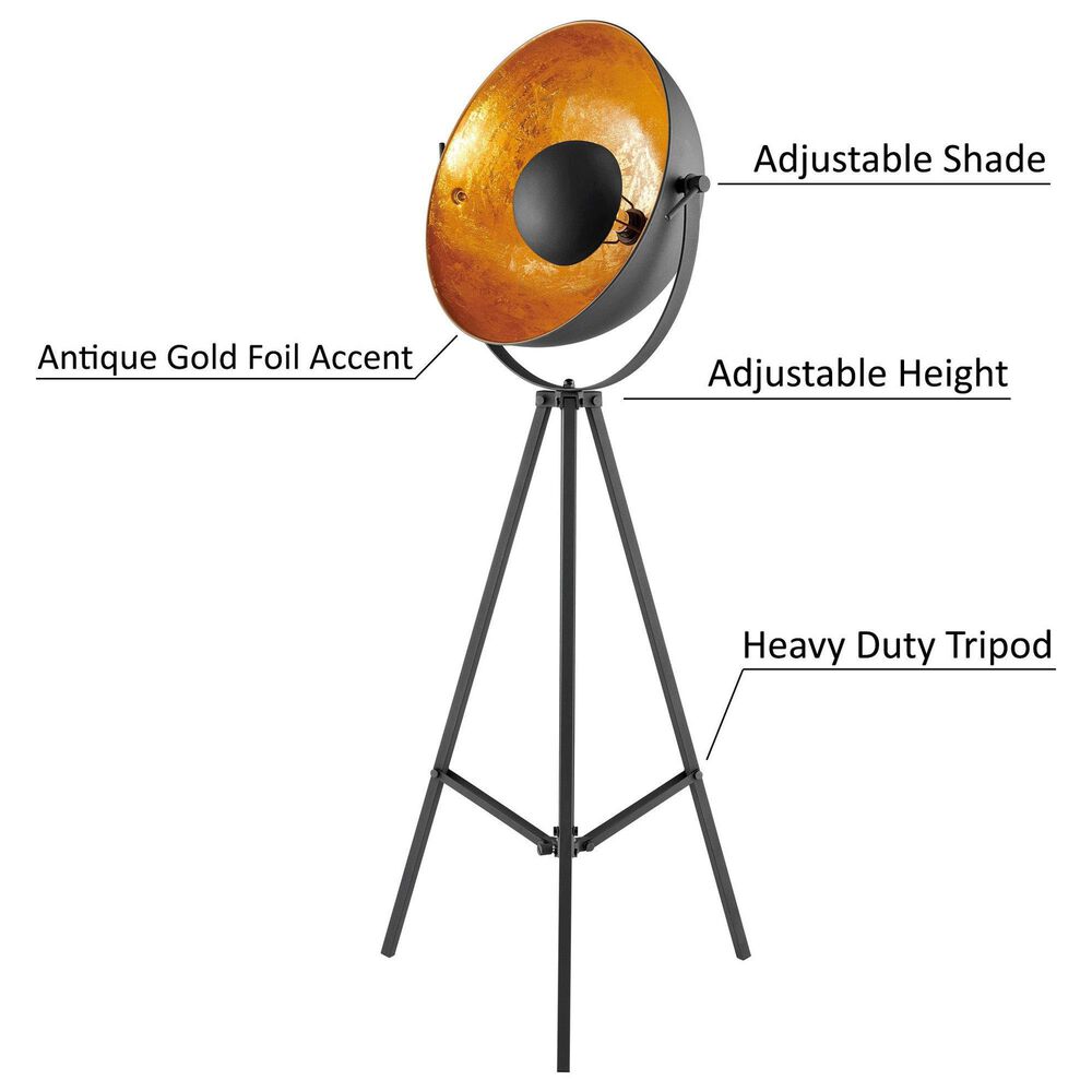 Lite Source Gothard Floor Lamp in Black, , large