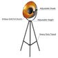 Lite Source Gothard Floor Lamp in Black, , large
