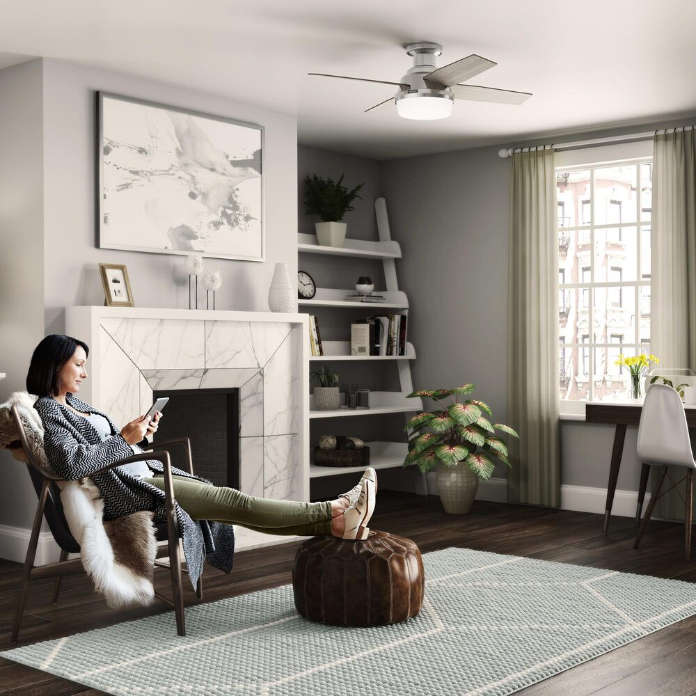Hunter Dempsey Low Profile 44&quot; Ceiling Fan with Light Gray Oak Blades in Brushed Nickel, , large