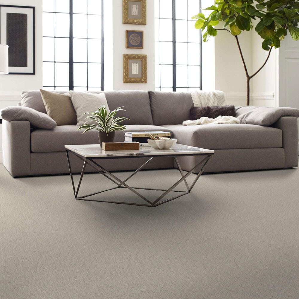 Shaw Studio Plaza Carpet in Scotch Mist, , large