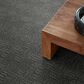 Anderson Tuftex Diego Carpet in Stonewall, , large