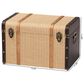 Baxton Studio Manton Storage Trunk with Hinged Top in Light, Dark Brown and Bronze, , large