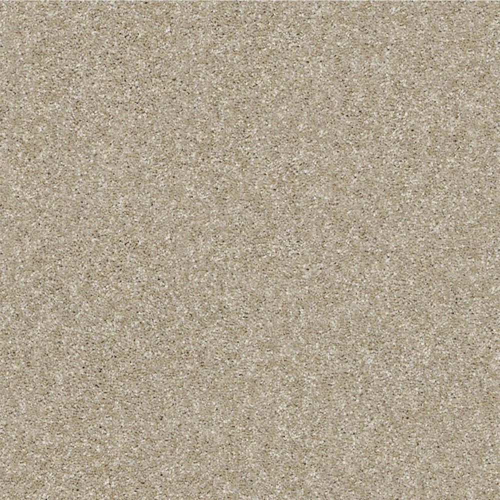 Shaw Making The Rules III 15" Carpet in Sepia, , large