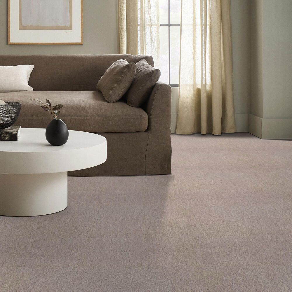 Anderson Tuftex Luxe Feel I Carpet in Sterling, , large