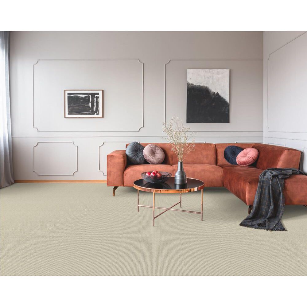 Dixie Home Pleasant Valley Carpet in Finch, , large