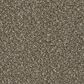 Dream Weaver Toast of The Town Carpet in Urbane, , large