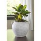 Ashley Meadie 9.25" Vase in Distressed White, , large