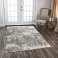 RIZZY Anatolia ANT747 8" x 10" Gray Area Rug, , large