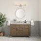 James Martin Vanities Chicago 48" Single Bathroom Vanity in Whitewashed Walnut with 3 cm Victorian Silver Quartz Top and Rectangular Sink, , large