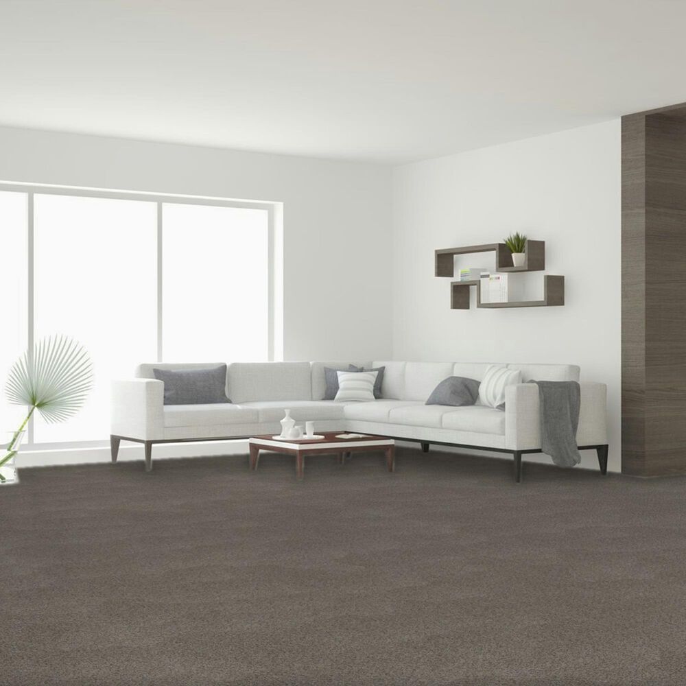 Dream Weaver Beach Club III Carpet in Canyon, , large