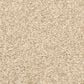 Dixie Home Escalante Carpet in Almond, , large