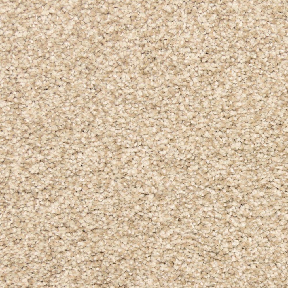 Dixie Home Escalante Carpet in Almond, , large