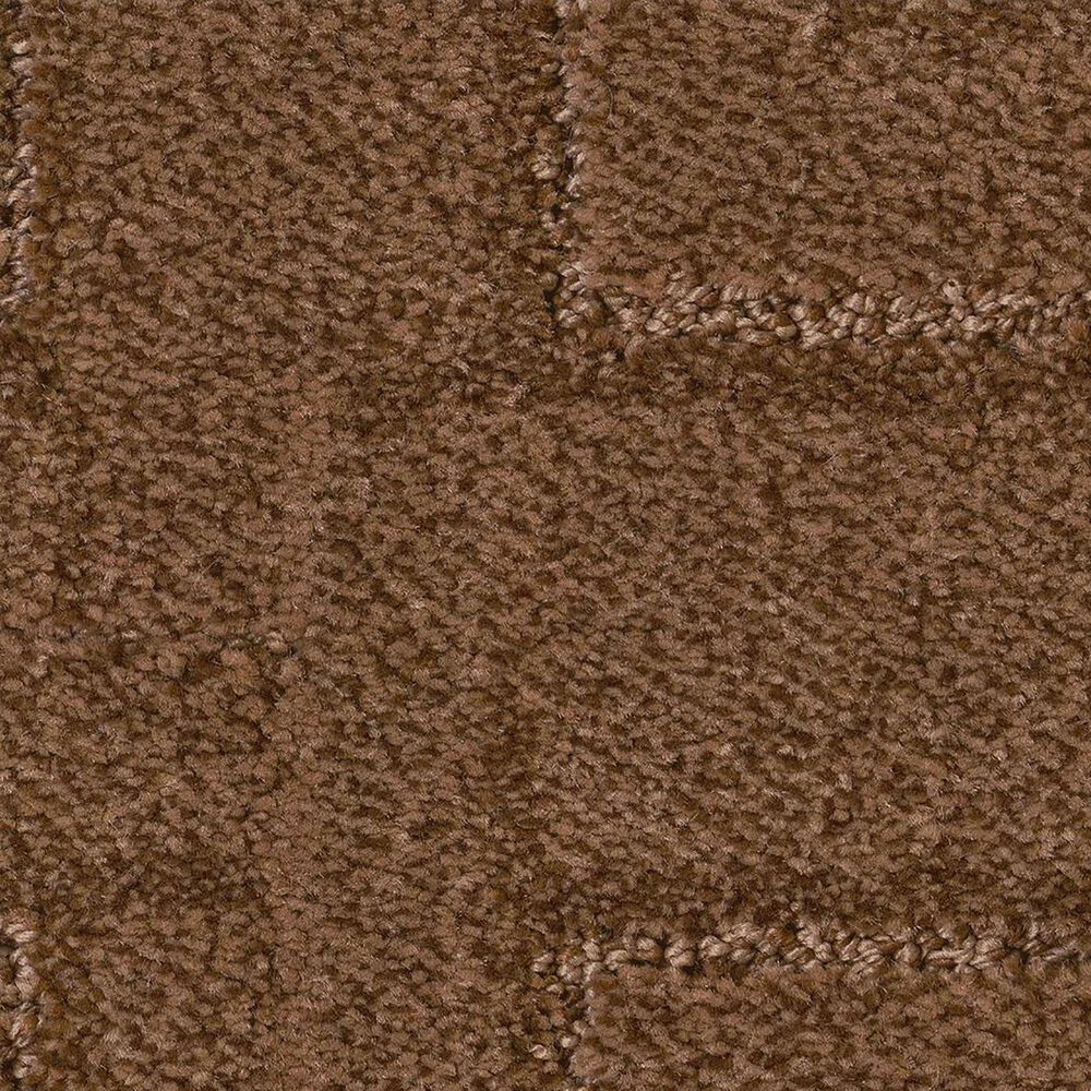 Anderson Tuftex Path Carpet in Sepia Tone, , large