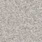 Shaw You Got This III Carpet in Whitecap, , large