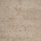 Safavieh Athens Shag SGA119G-4 4" x 6" Beige Area Rug, , large