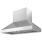 Zephyr Titan 48" Externally Vented Wall Range Hood with TruHue in Stainless Steel, , large
