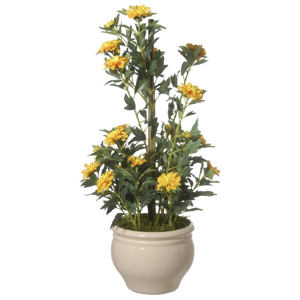 National Tree 20" Mini Zinnia in Ceramic Pot, , large