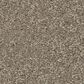 Anderson Tuftex Elegant Beauty Carpet in Atmosphere, , large