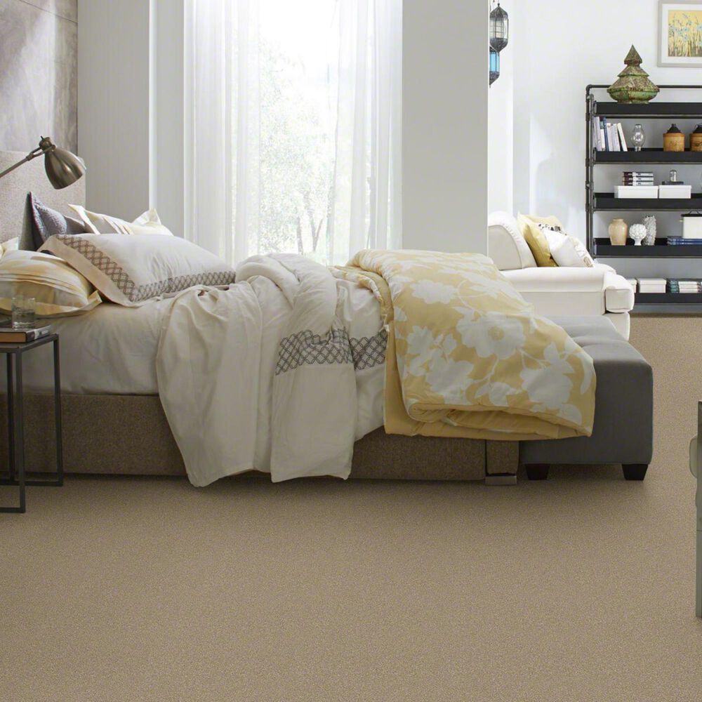 Philadelphia Basic Rules Carpet in Khaki, , large