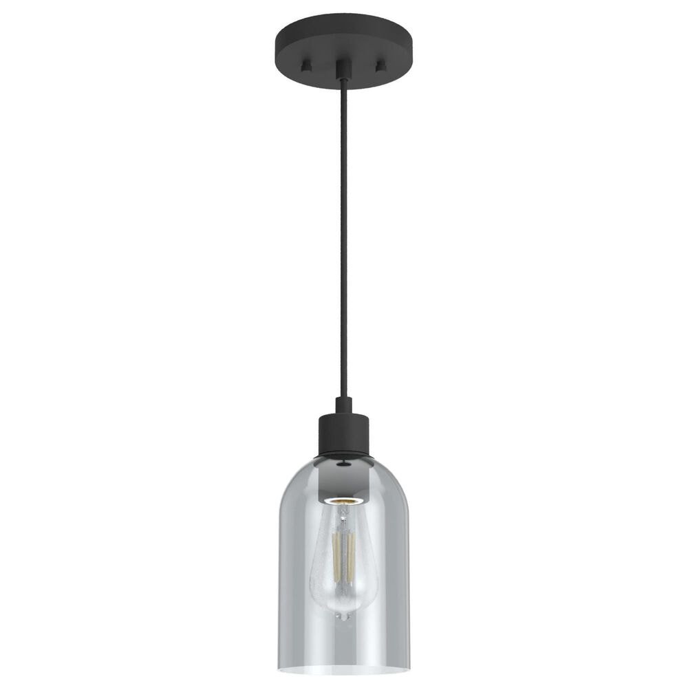 Hunter Lochmeade 1-Light Mini Pendant in Natural Iron, , large