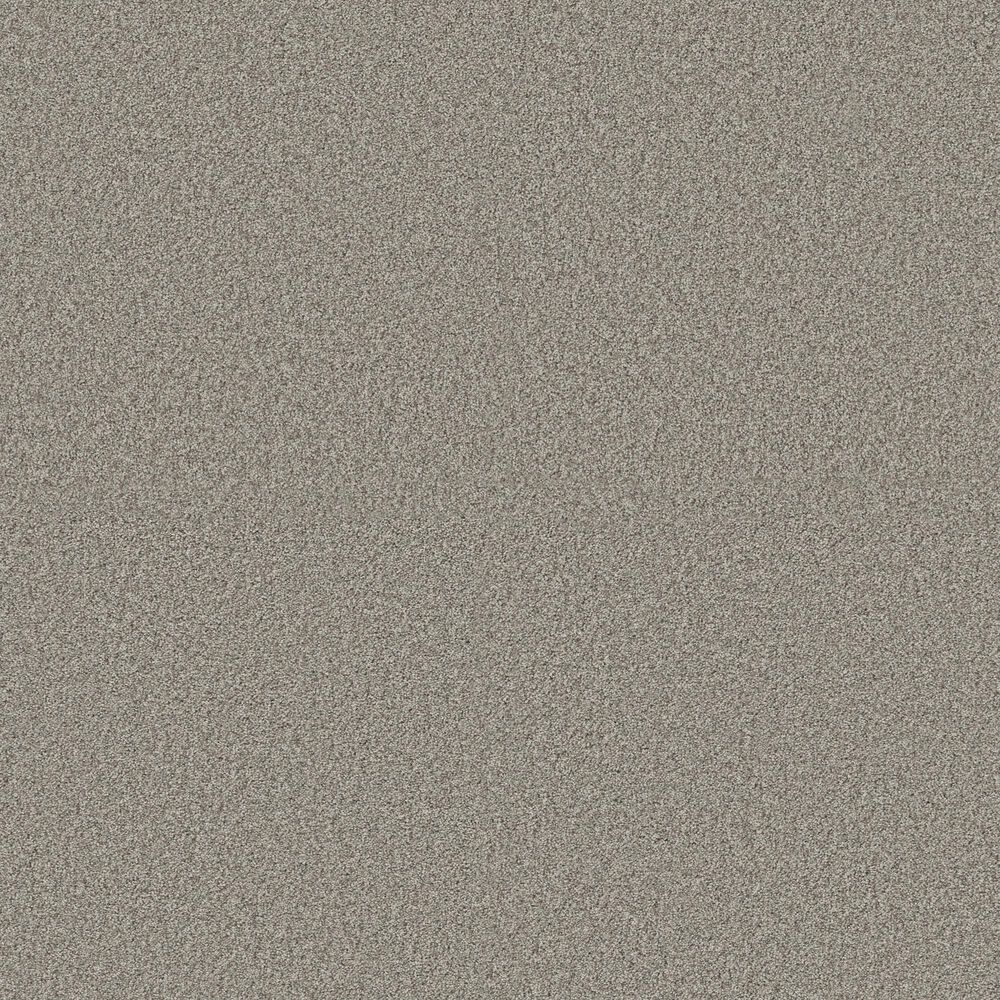Shaw Comforting II Carpet in Rustic, , large