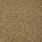 Shaw Keen Senses I Carpet in Warmth, , large