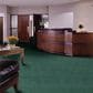 Shaw Emphatic II 36 Carpet in Mountain Pine, , large