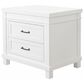 Appleseed Rowan 2-Drawer Nightstand in Pure White, , large