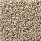 Shaw Del Morro Carpet in Midland, , large