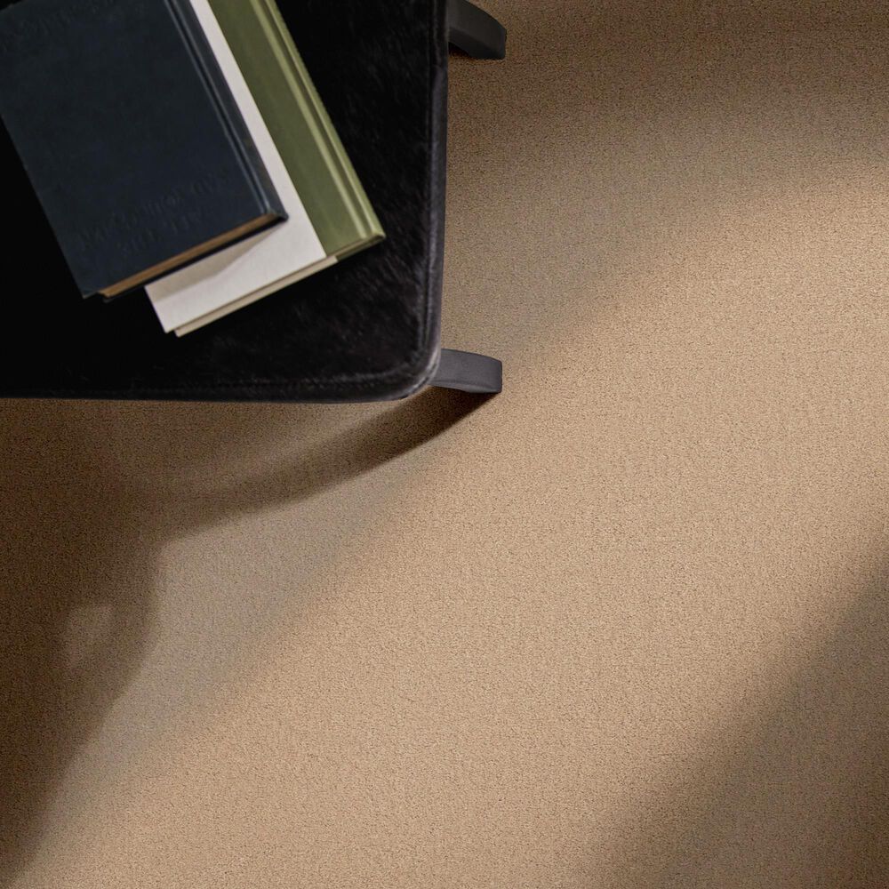 Anderson Tuftex Finery Carpet in Desert Dune, , large