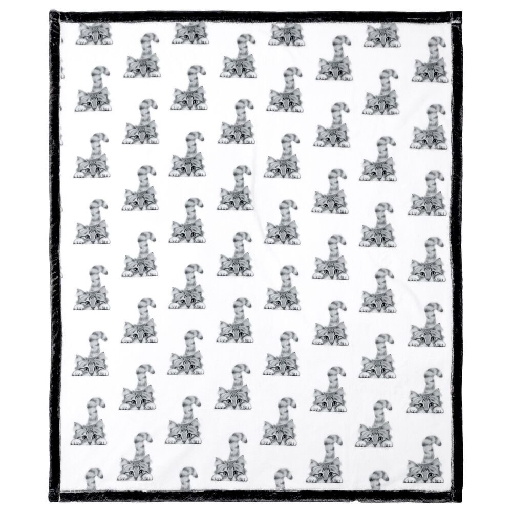 Pavilion Animal Antics Cat Royal Plush Blanket in White, , large