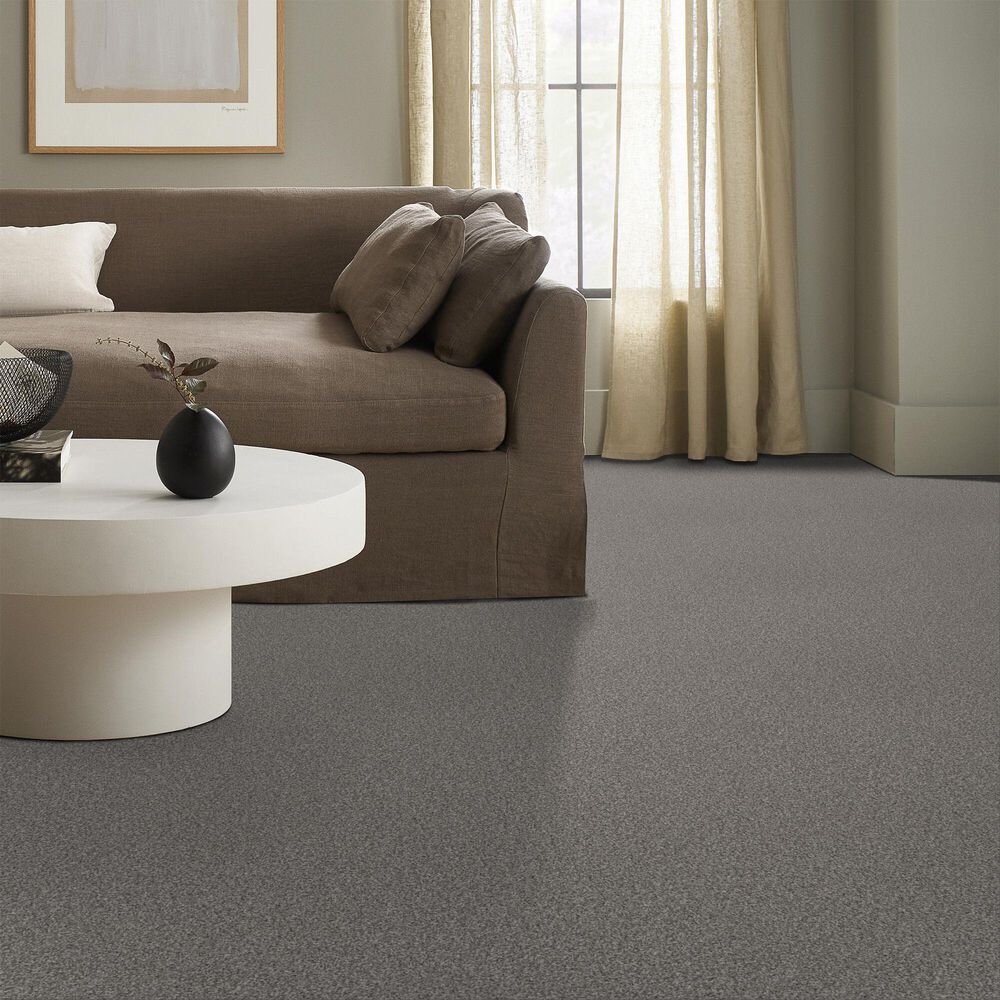 Anderson Tuftex Terra Nova Carpet in Chelsea Fog, , large