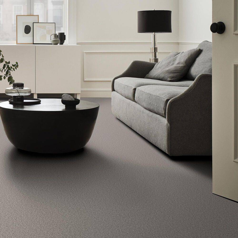 Shaw Tonal Comfort I Carpet in Sunday Stroll, , large