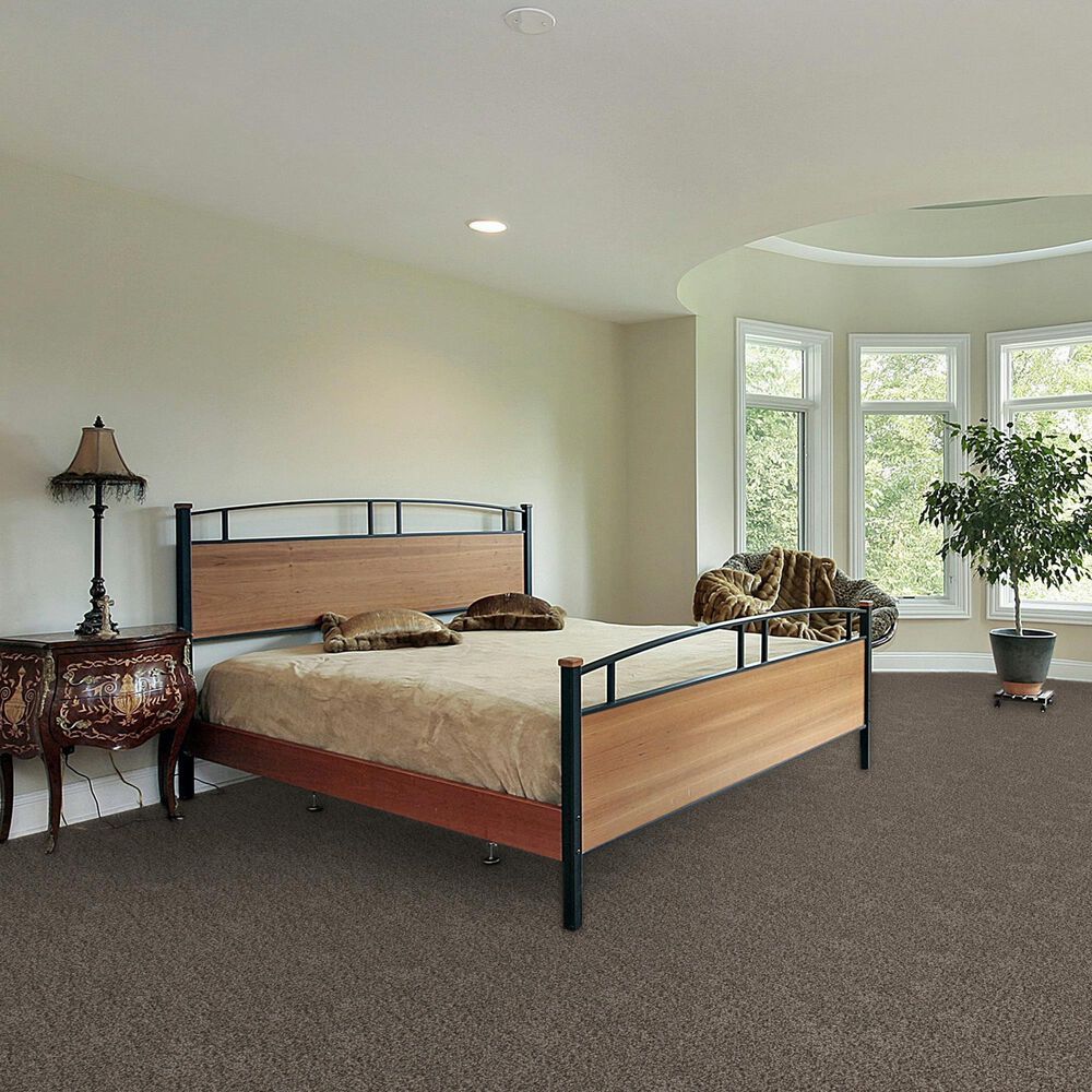 Dream Weaver Reflections II Carpet in Twig, , large