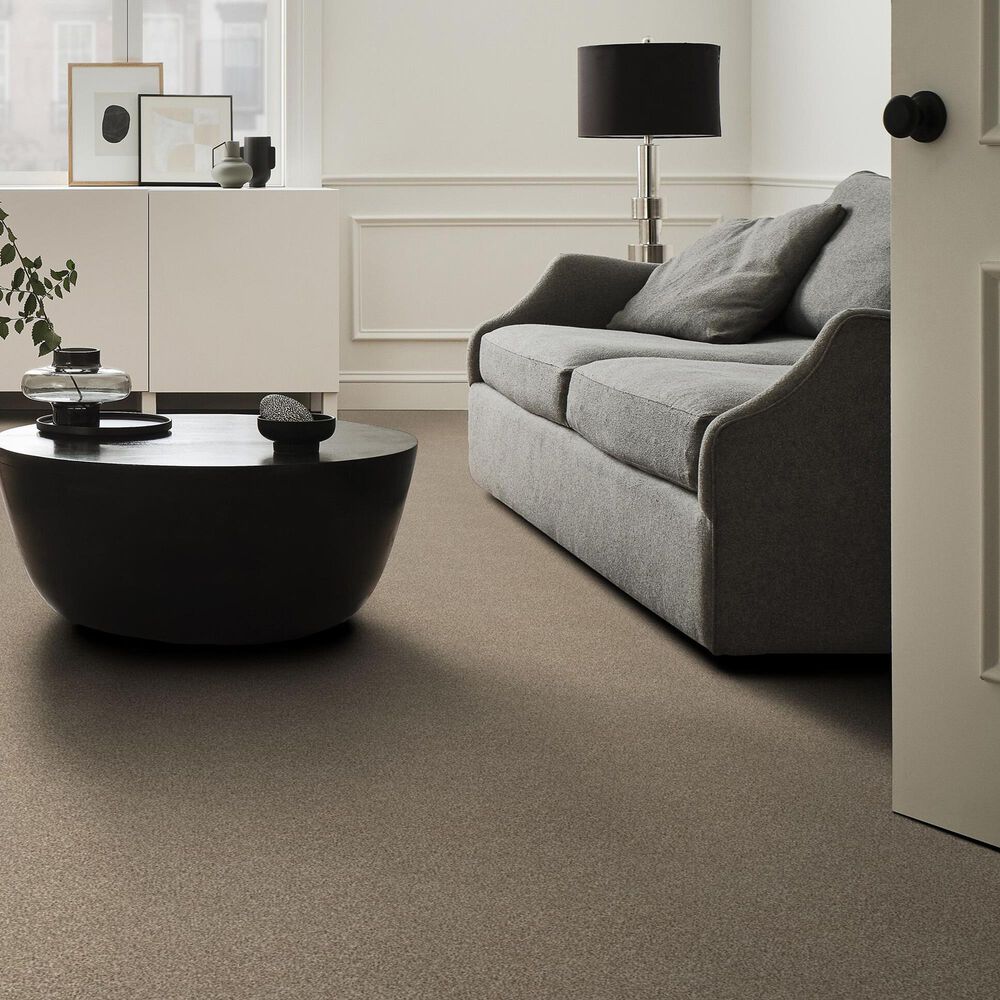 Shaw Tonal Comfort I Carpet in Camping Trip, , large