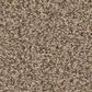 Anderson Tuftex Fabulous Carpet in Distant Land, , large