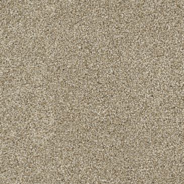 Dixie Home Riverbend Carpet in Pebble, , large