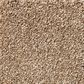 Shaw Your Comfort I Carpet in Falling Leaves, , large