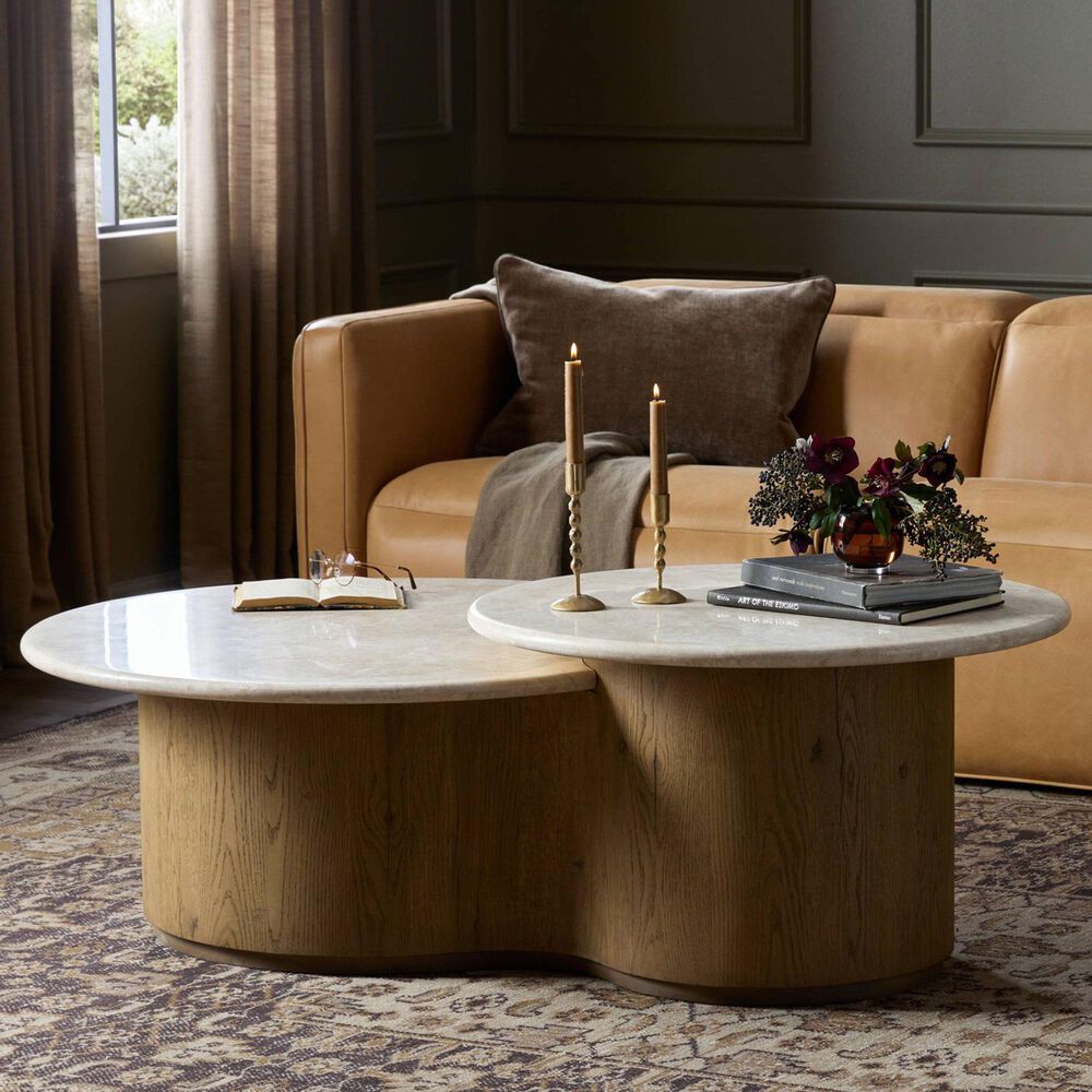 Four Hands Toro Coffee Table in Cappuccino and Rubbed Light Oak, , large