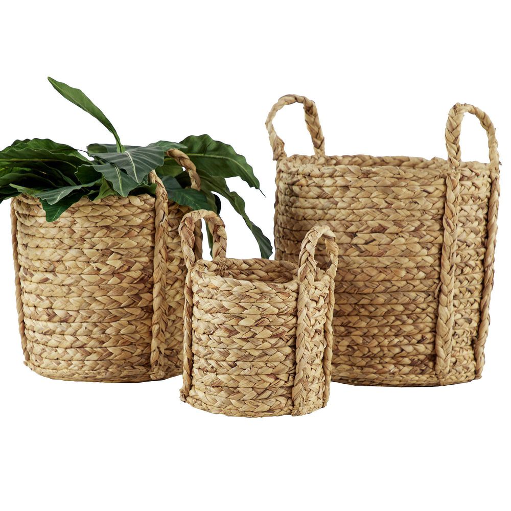Maple and Jade Dried Coastal Storage Basket in Brown &#40;Set of 3&#41;, , large