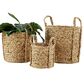 Maple and Jade Dried Coastal Storage Basket in Brown (Set of 3), , large