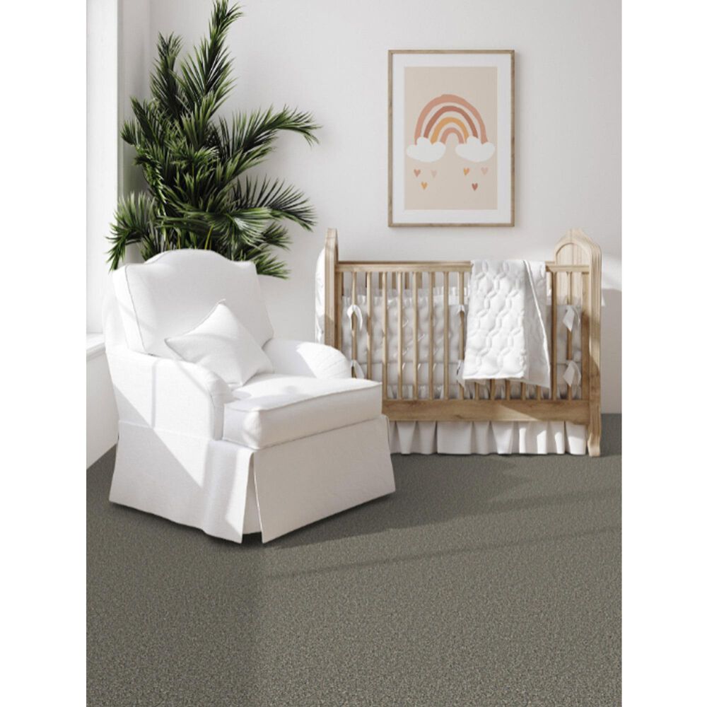 Dixie Home Main Force Carpet in River Rock, , large